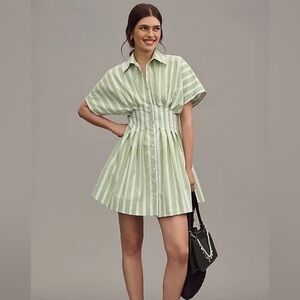 Tobie Mini Shirt Dress - Green Stripe